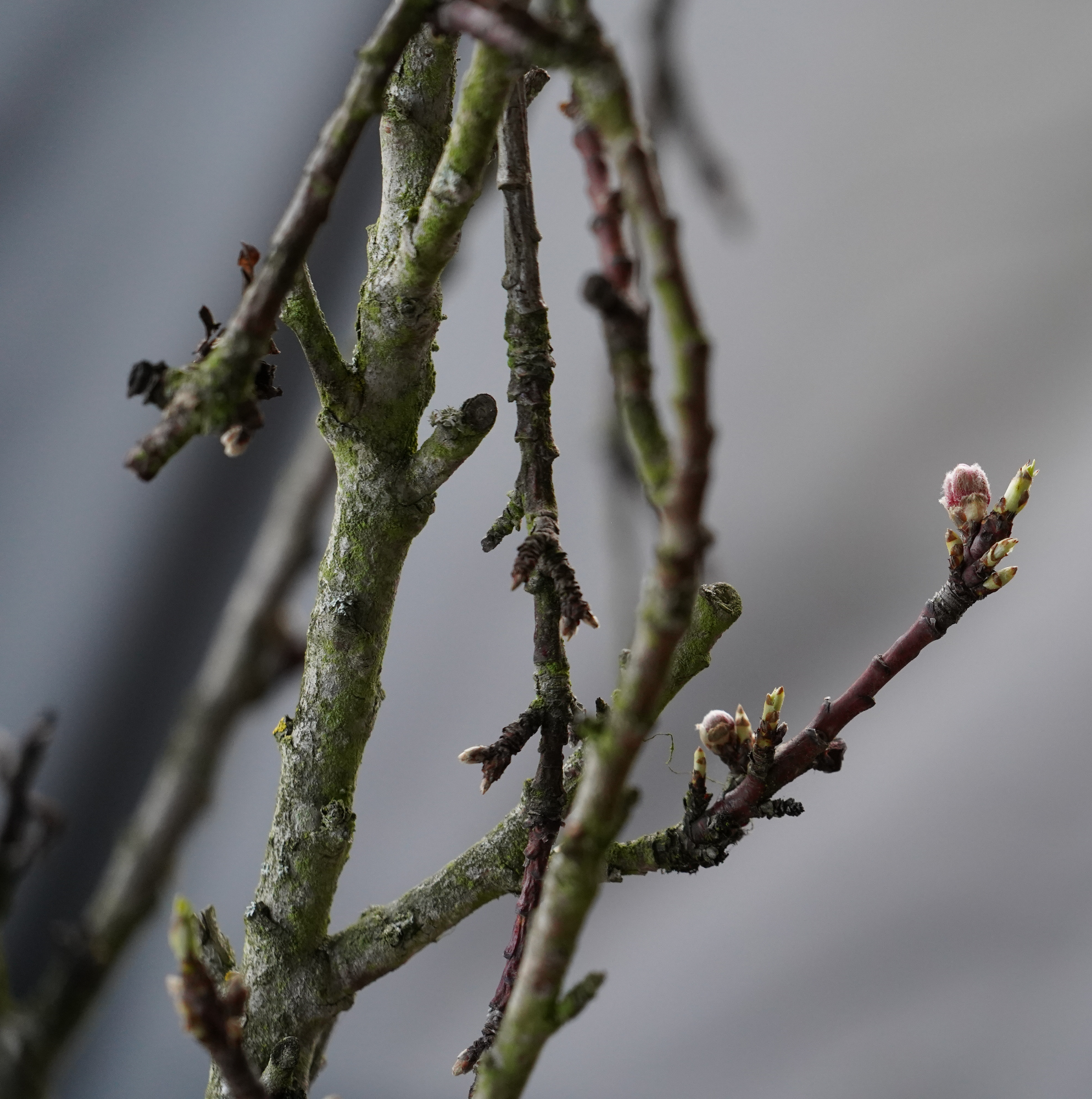 Ein Sonntagmorgen in Strundorf