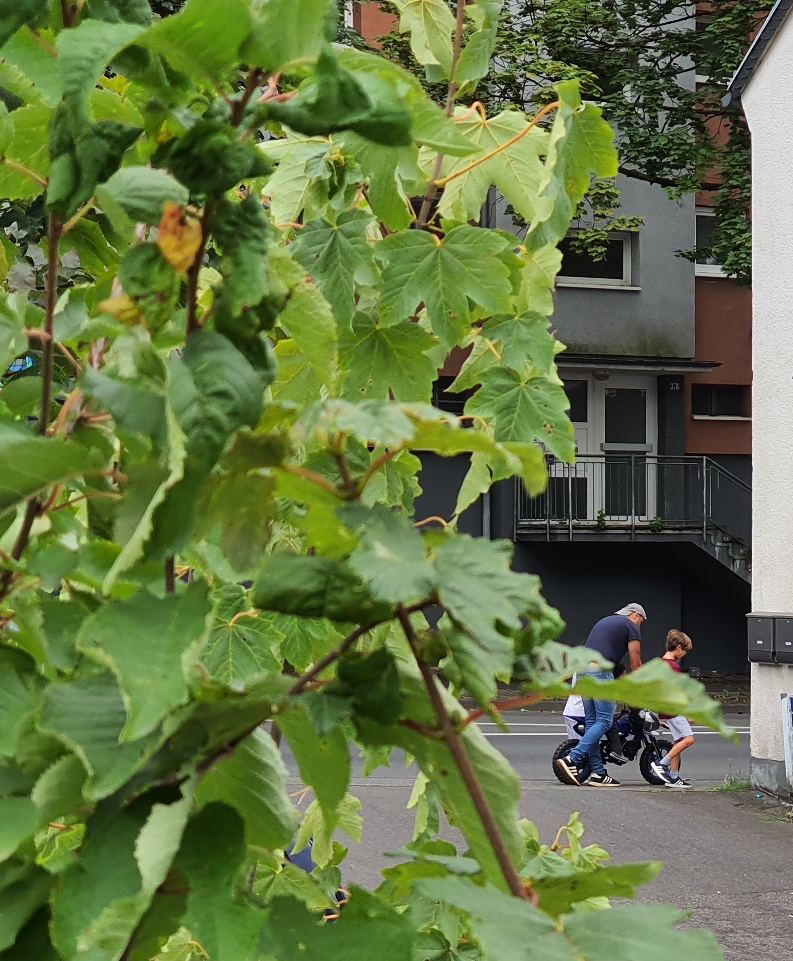 Ein Vater mit Kindern und Kindermotorrad auf dem Heimweg, Buschwerk im Vordergrund